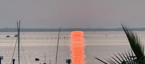 1 bedroom Apartment in Arcachon, France No. 323758 5