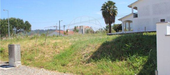 315m² Land in Pombal, Portugal No. 77787 8