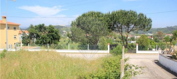 315m² Land in Pombal, Portugal No. 77787 13