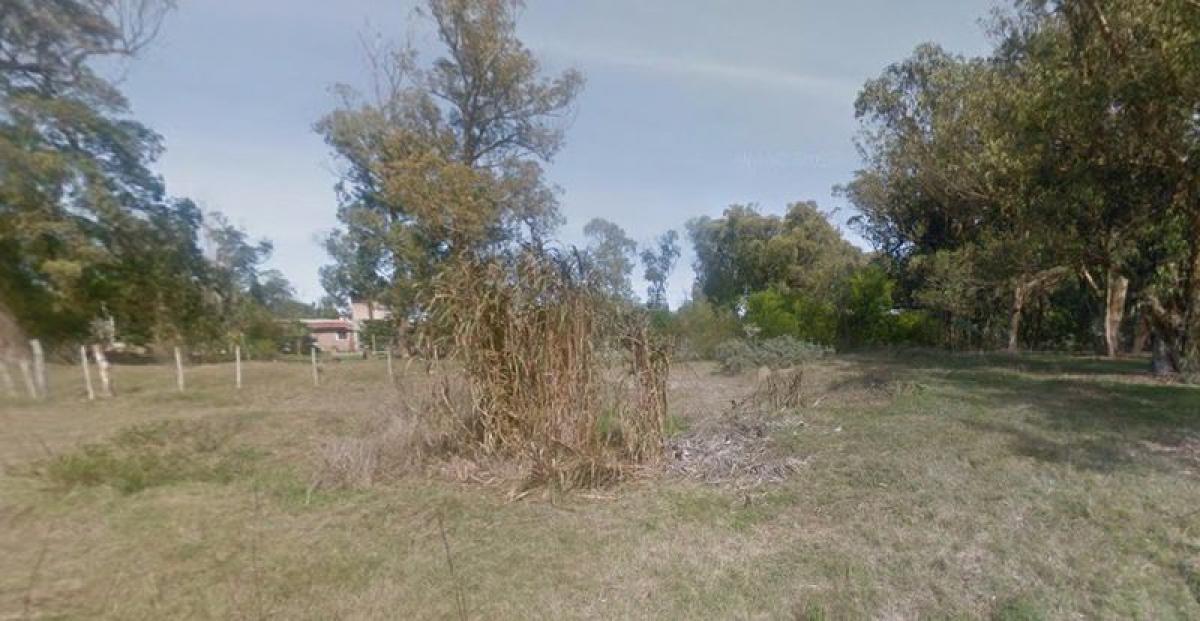 Grundstück in Maldonado, Uruguay, Nr. 14226