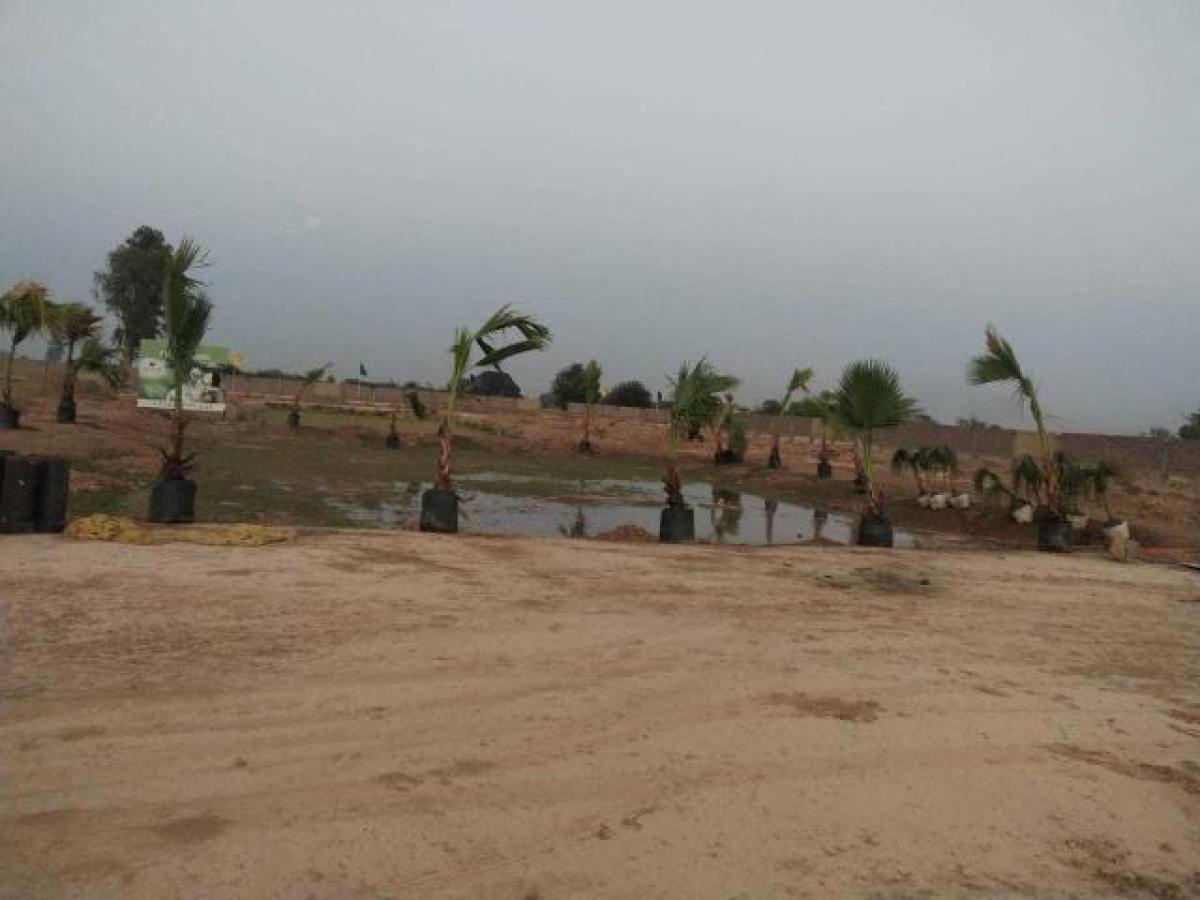  قطعة أرض في Mohali, India رقم 36535