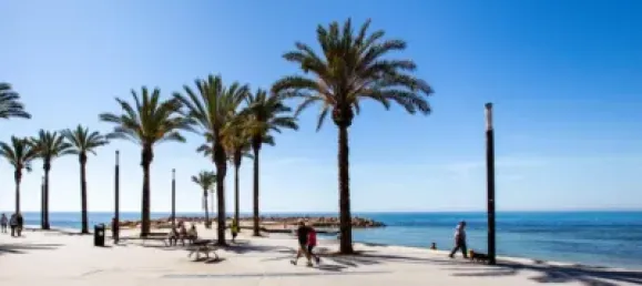 Квартира с 2 спальнями в Торревьеха, Испания № 90064 21