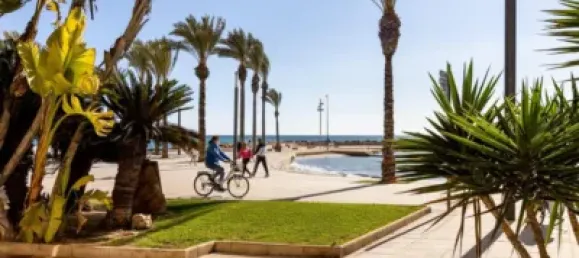 Квартира с 2 спальнями в Торревьеха, Испания № 90064 22