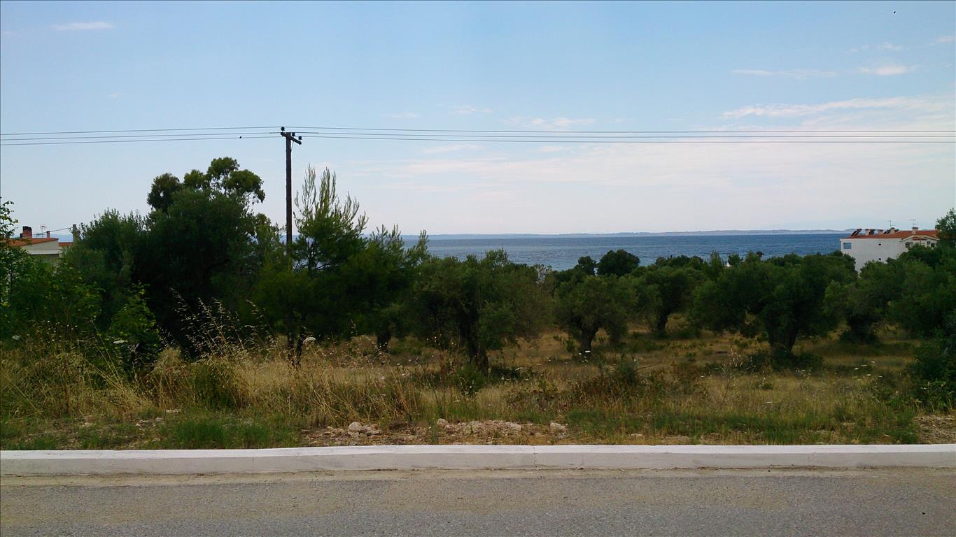  فندق في Polygyros, Greece 5658متر مربع رقم 4336