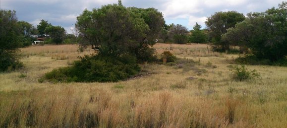 5658m² Hotel in Polygyros, Greece No. 4336 2