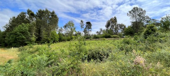 173m² Land in Viseu, Portugal No. 69058 4