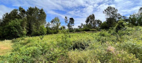 173m² Land in Viseu, Portugal No. 69058 5