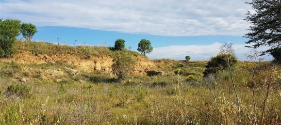 Земельный участок 80000м² в Тарквиния, Италия № 302351 4