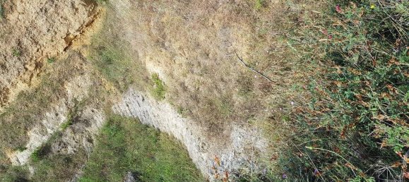 Земельный участок 80000м² в Тарквиния, Италия № 302351 9