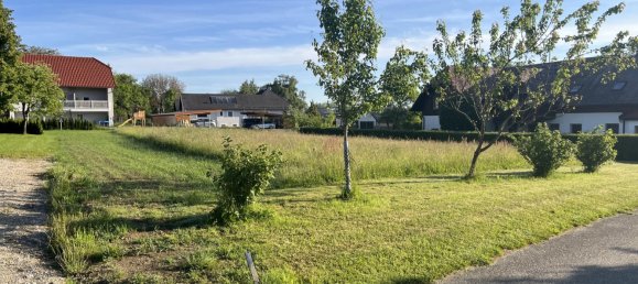  Land in Desselbrunn, Austria No. 135166 5