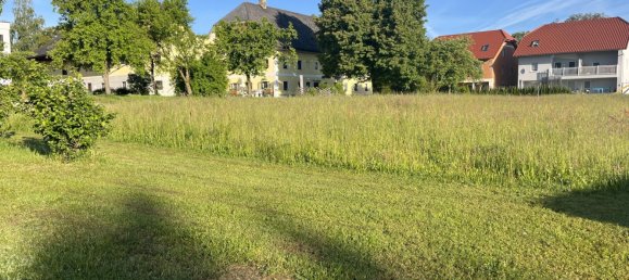  Land in Desselbrunn, Austria No. 135166 6