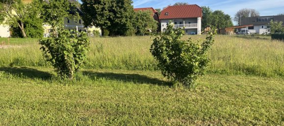  Land in Desselbrunn, Austria No. 135166 8