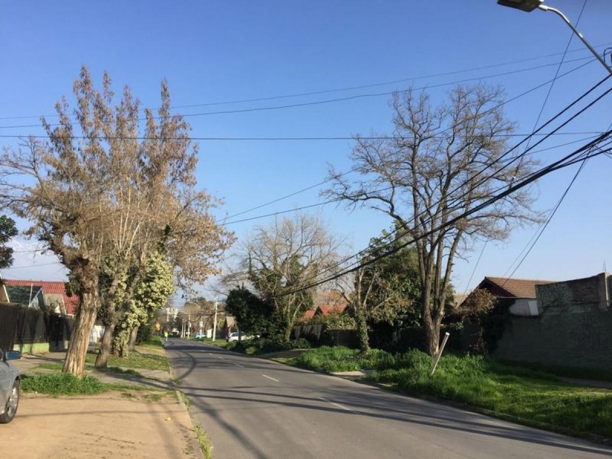 4 bedrooms House in Santiago, Chile No. 5019