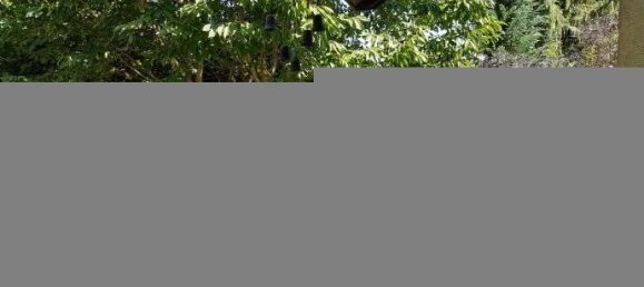 Casa de 5 habitaciónes en Ludwigsburg, Germany No. 51975 2