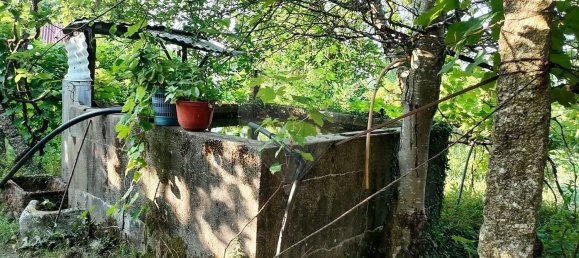 4 غرف نوم منزل في Castelo de Paiva, Portugal رقم 47973 18