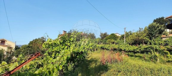 4 غرف نوم منزل في Castelo de Paiva, Portugal رقم 47973 11