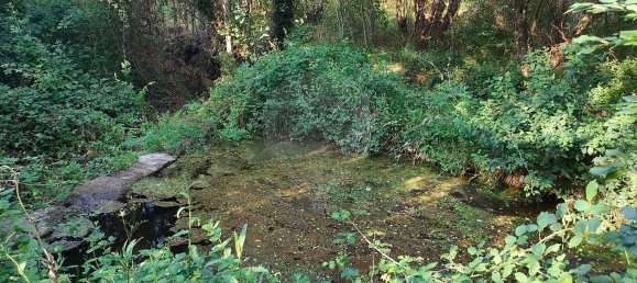 4 غرف نوم منزل في Castelo de Paiva, Portugal رقم 47973 8