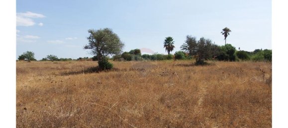 Grundstück in Silves, Portugal 8280m², Nr. 37307 8