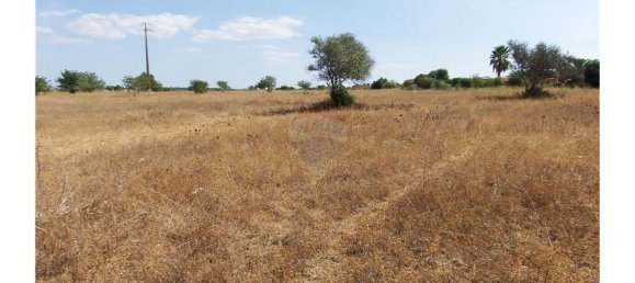 Grundstück in Silves, Portugal 8280m², Nr. 37307 4