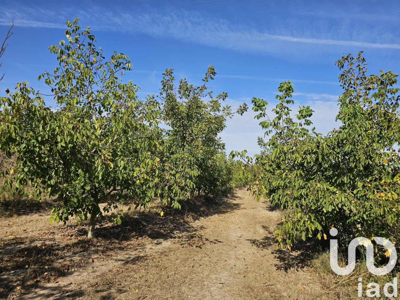  عقار تجاري في Gandesa, Spain رقم 292576