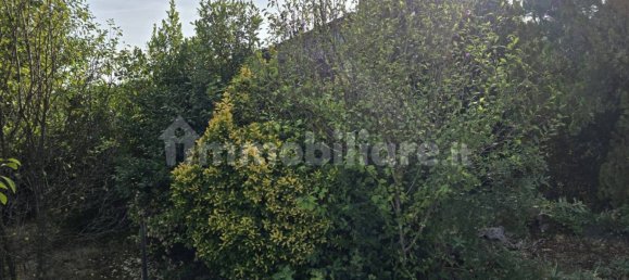 1 bedroom House in Ceccano, Italy No. 209550 9