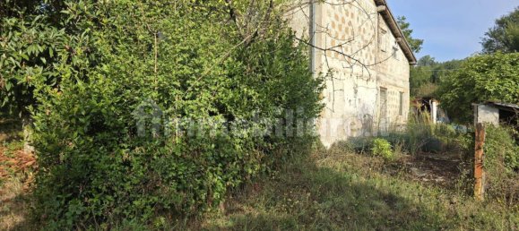 1 bedroom House in Ceccano, Italy No. 209550 4