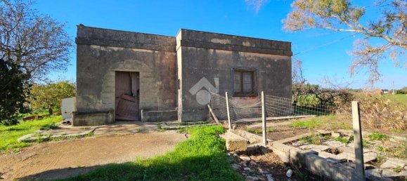 2-Zimmer Haus in Nardò, Italy, Nr. 25232 5