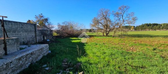 2-Zimmer Haus in Nardò, Italy, Nr. 25232 9
