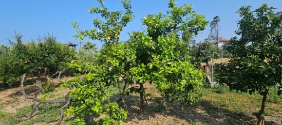 Вилла с 4 спальнями в Халкидики, Греция № 47299 12