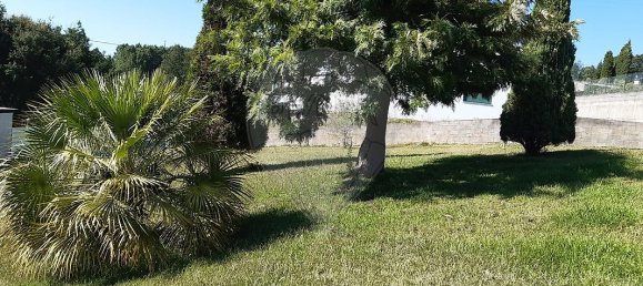 4 bedrooms House in Agueda, Portugal No. 22809 11