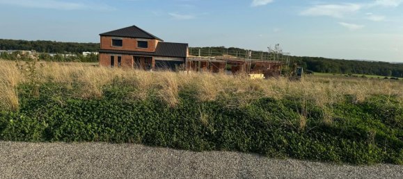 Terreno en Seingbouse, France No. 246154 6