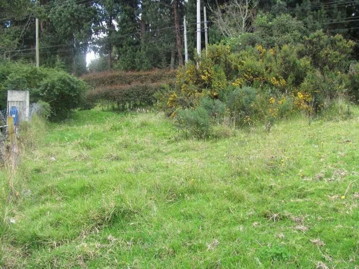  قطعة أرض في Ezeiza, Argentina رقم 36512