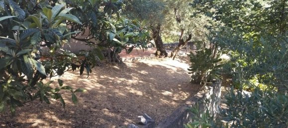 6-salle Villa à Rivello, Italy No. 23169 9