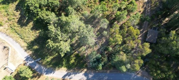 Земельный участок 6280м² в Томар, Португалия № 73936 14