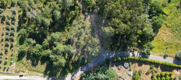 Земельный участок 6280м² в Томар, Португалия № 73936 16