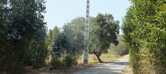 Земельный участок 6280м² в Томар, Португалия № 73936 3