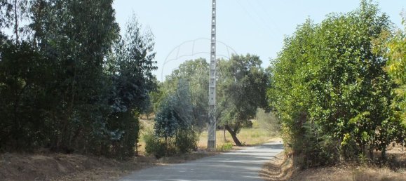 Земельный участок 6280м² в Томар, Португалия № 73936 9