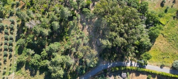 Земельный участок 6280м² в Томар, Португалия № 73936 17