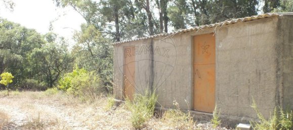 Земельный участок 6280м² в Томар, Португалия № 73936 2