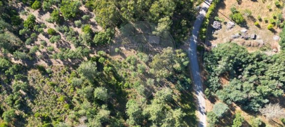 Земельный участок 6280м² в Томар, Португалия № 73936 15