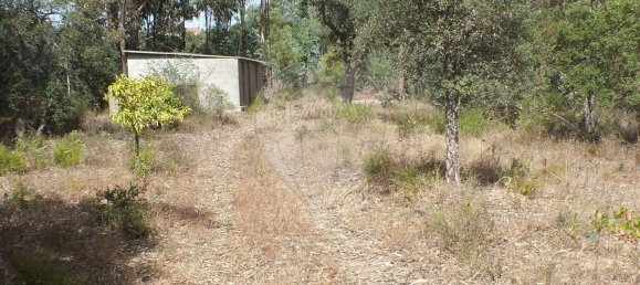 Земельный участок 6280м² в Томар, Португалия № 73936 6