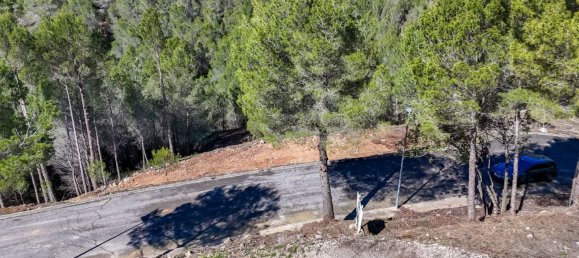 قطعة أرض في Callosa D'en Sarria, Spain رقم 135704 14