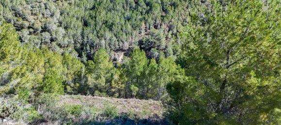 قطعة أرض في Callosa D'en Sarria, Spain رقم 135704 46