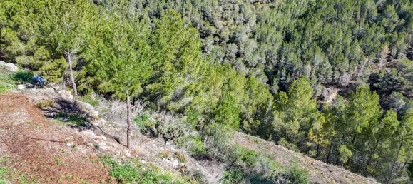 قطعة أرض في Callosa D'en Sarria, Spain رقم 135704 47