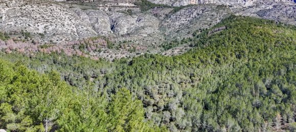 قطعة أرض في Callosa D'en Sarria, Spain رقم 135704 48