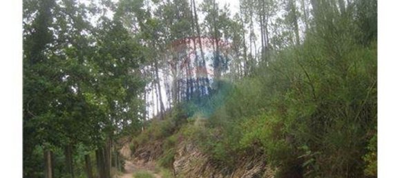  قطعة أرض في Terras de Bouro, Portugal 27800متر مربع رقم 36747 8