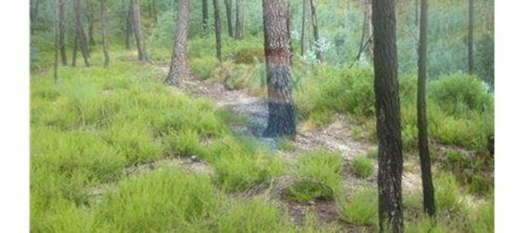  قطعة أرض في Terras de Bouro, Portugal 27800متر مربع رقم 36747 17