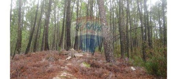  قطعة أرض في Terras de Bouro, Portugal 27800متر مربع رقم 36747 15