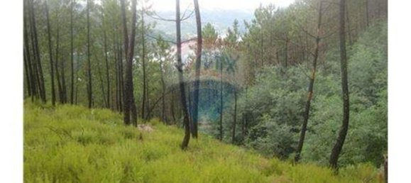  قطعة أرض في Terras de Bouro, Portugal 27800متر مربع رقم 36747 5