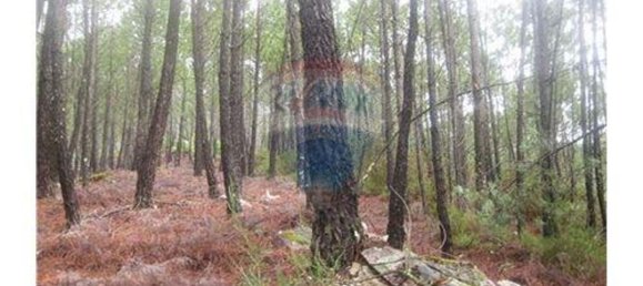  قطعة أرض في Terras de Bouro, Portugal 27800متر مربع رقم 36747 16